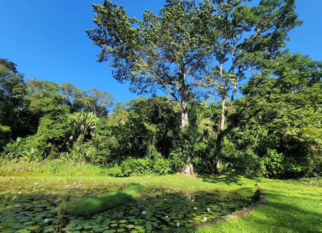 Lancetilla Botanical Garden